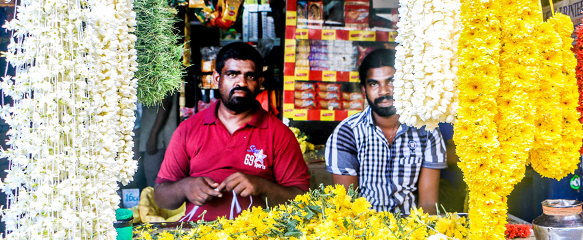 Tamil Community in Colombo