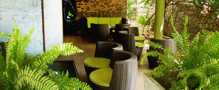 Ceylon Tea Colombo