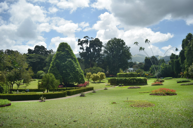 Peradeniya Botanical Gardens